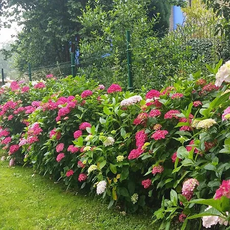 Casa De Aldea El Toral Rales (Llanes)