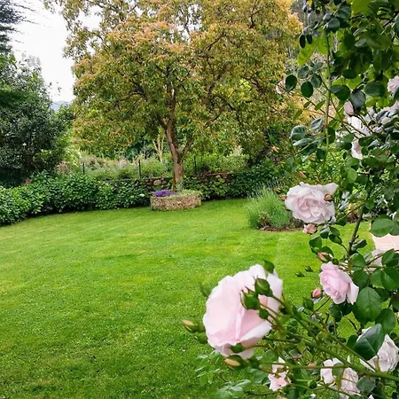 Casa De Aldea El Toral *