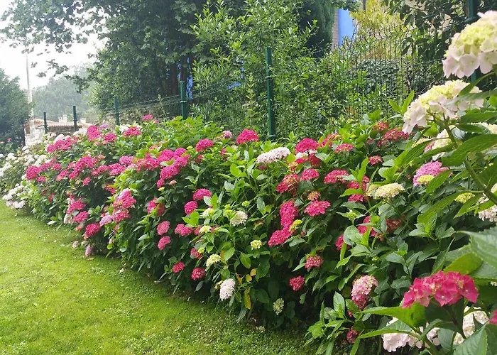 Casa De Aldea El Toral Rales (Llanes)