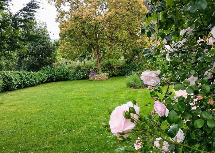 Casa De Aldea El Toral *